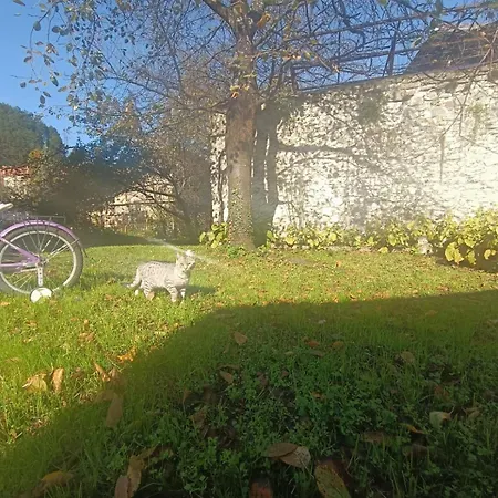 Affittacamere And Mn, 3*