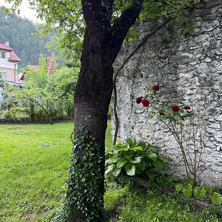 Konukevi And Mn, Konjic